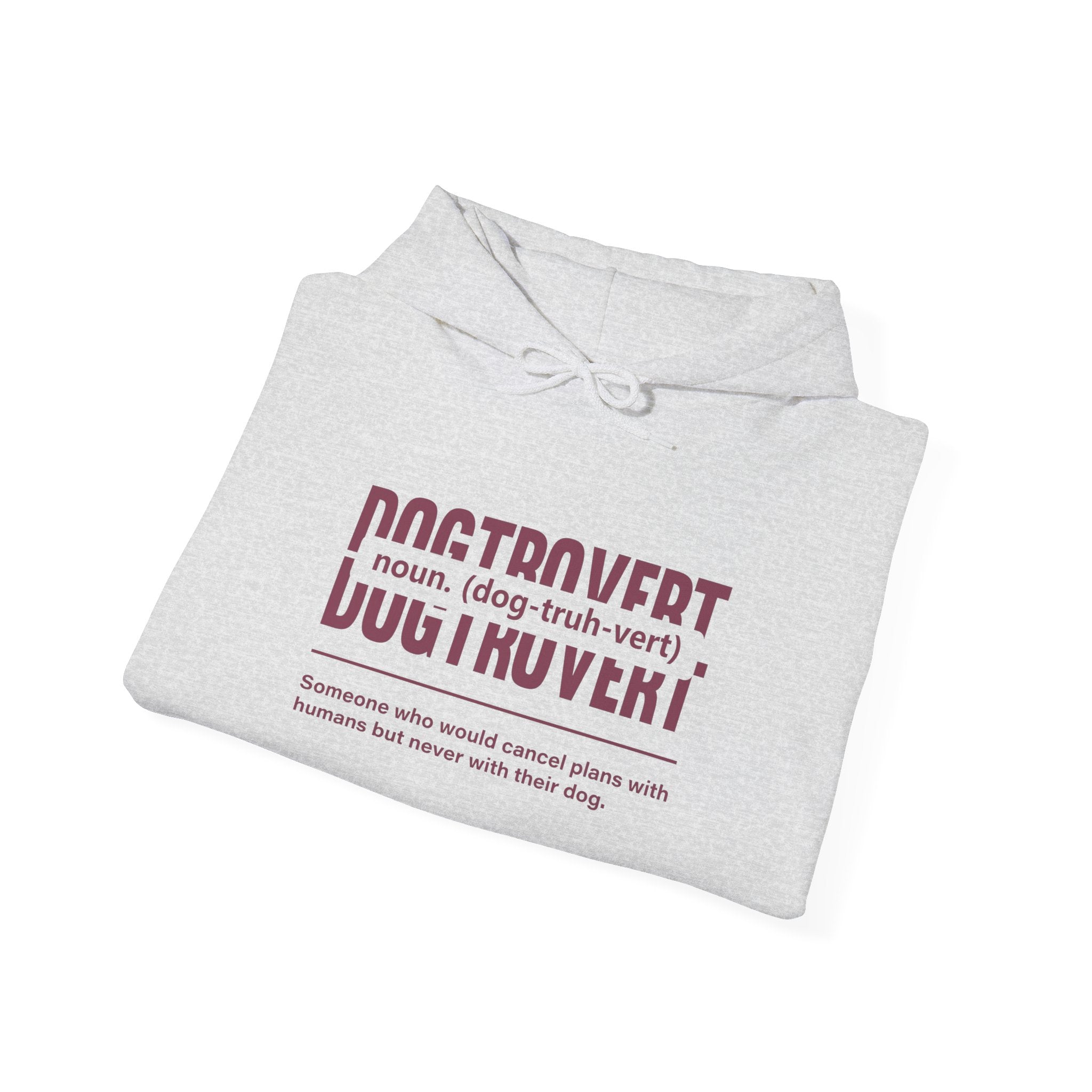 Dogtrovert Definition Hoodie – Funny Dog Lover Graphic Pullover
