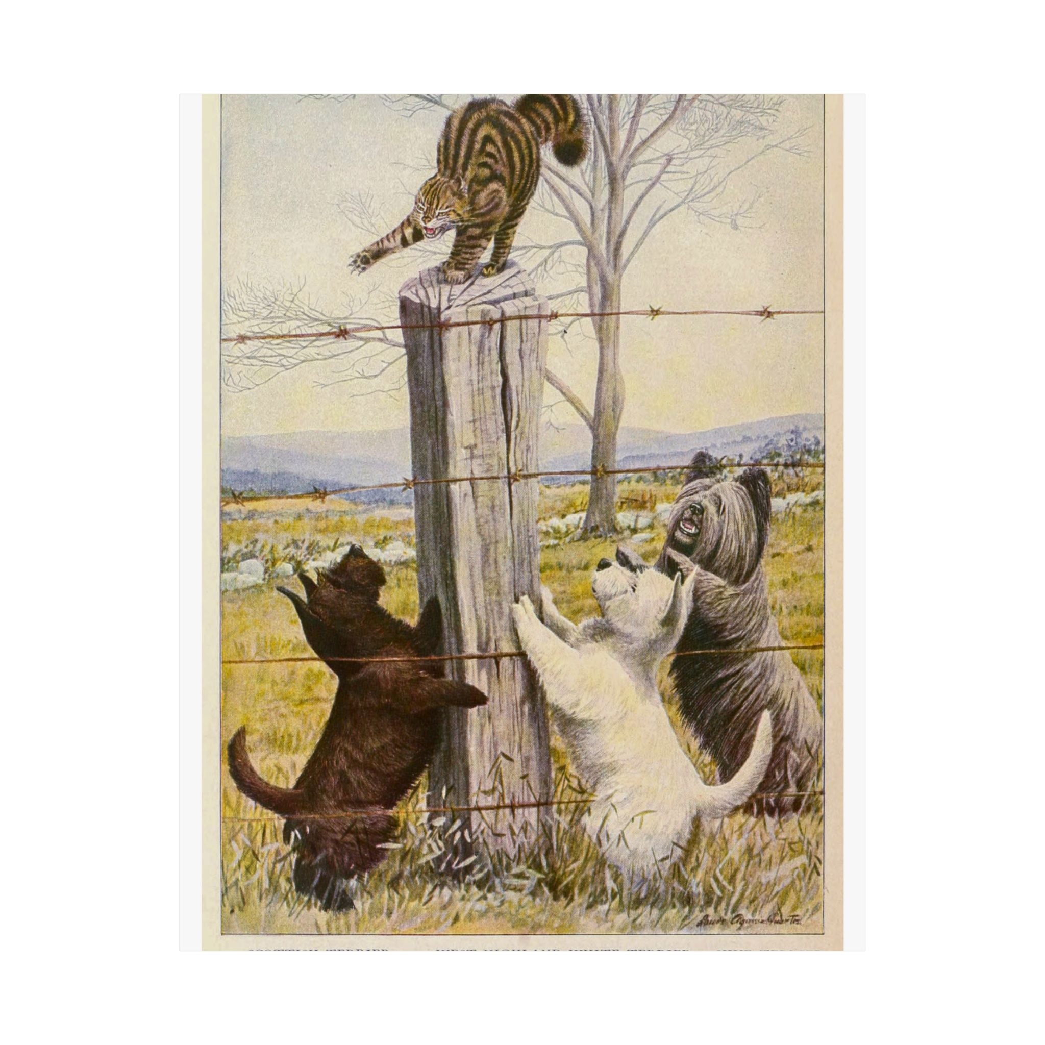 Vintage Terriers and Cat Poster — Matte Vertical Wall Art
