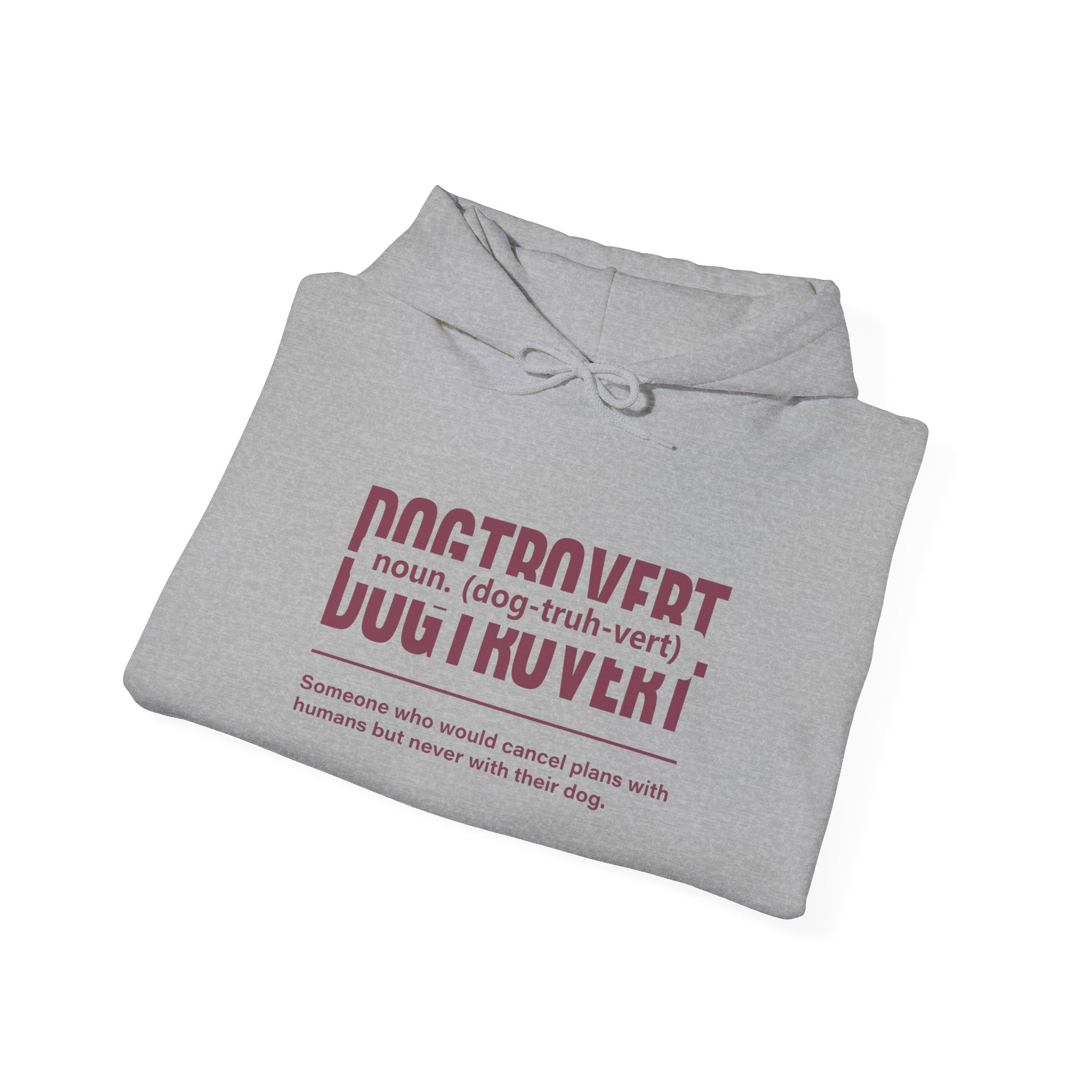 Dogtrovert Definition Hoodie – Funny Dog Lover Graphic Pullover