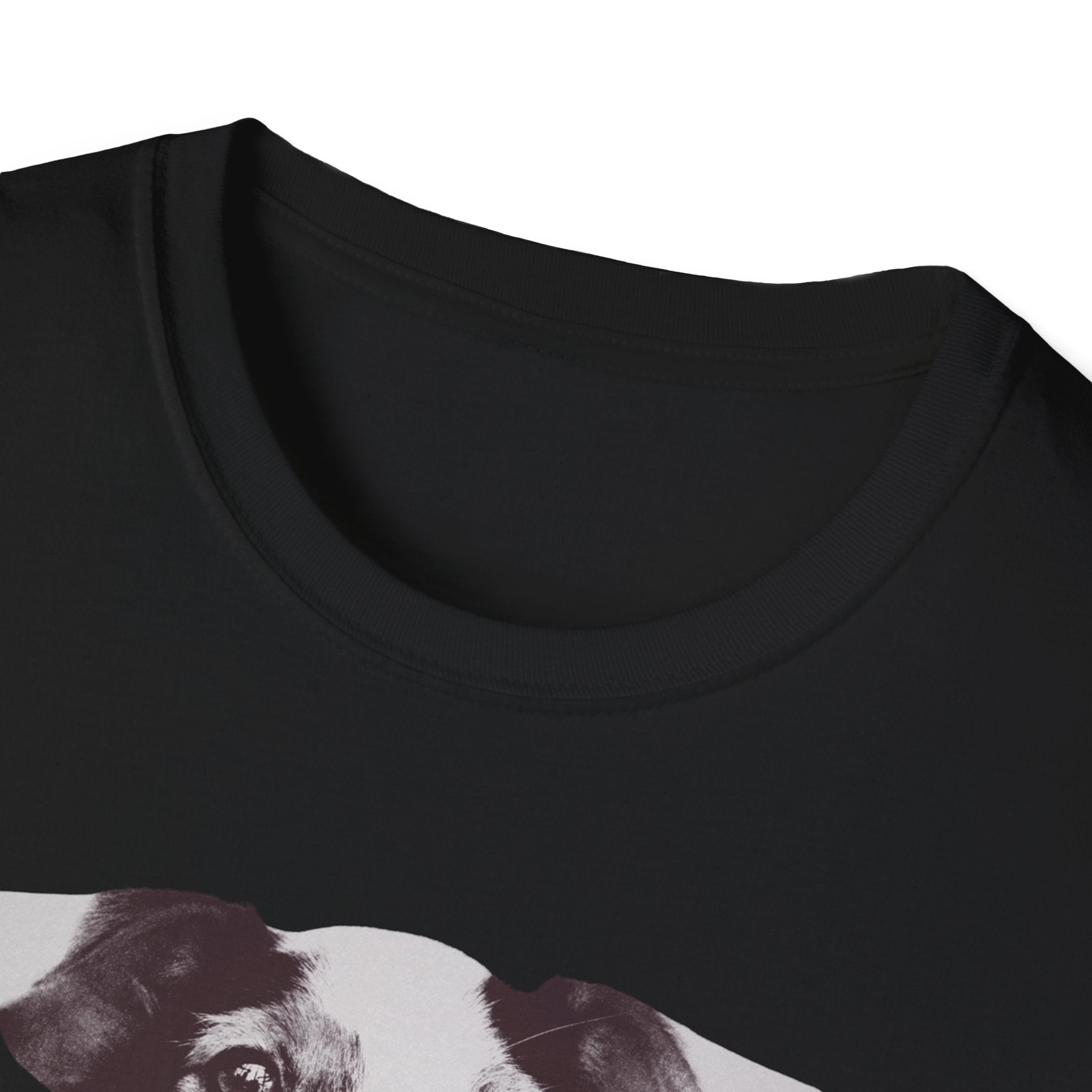 Jack Russell Terrier Graphic T-Shirt — "Yes, I'm Judging You."