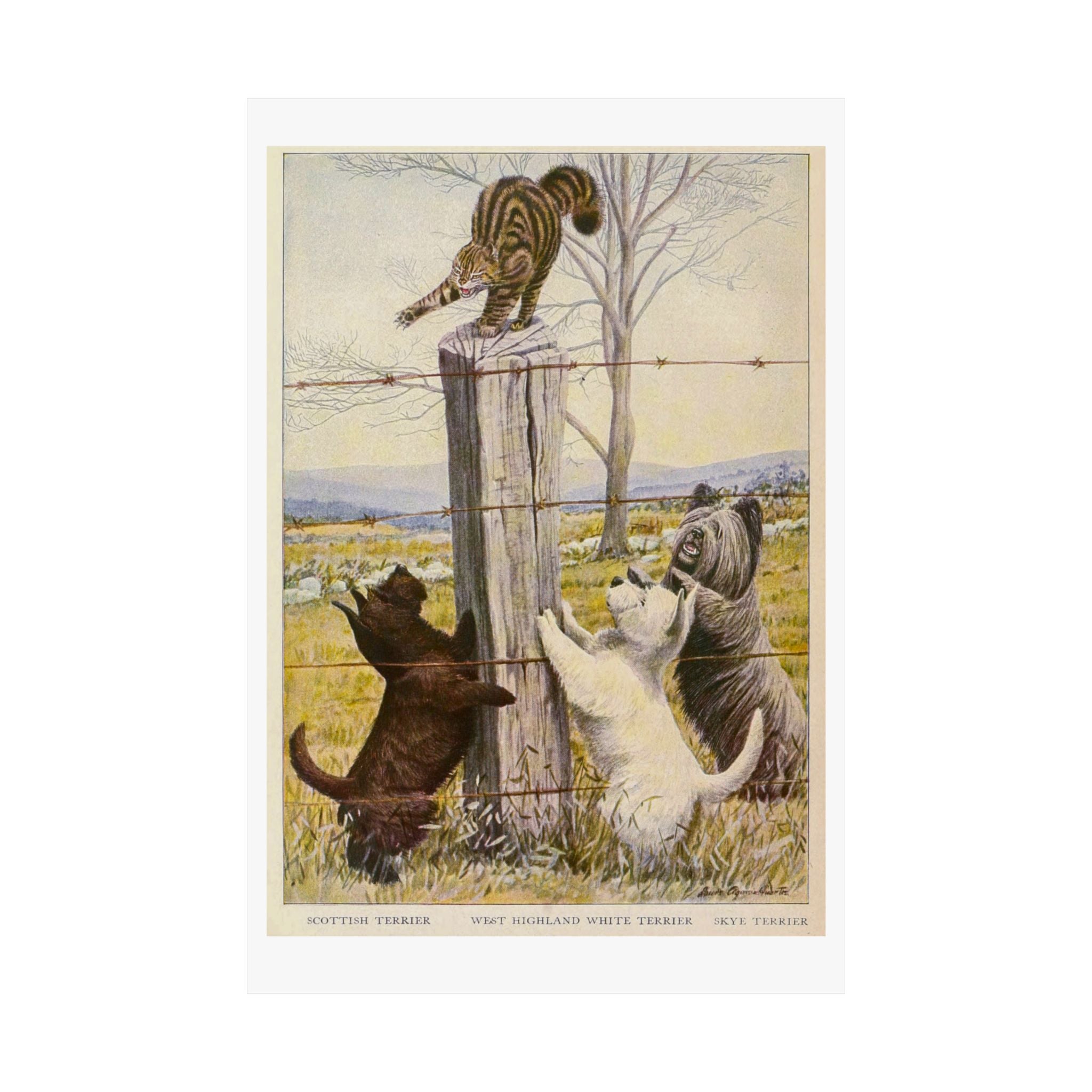 Vintage Terriers and Cat Poster — Matte Vertical Wall Art