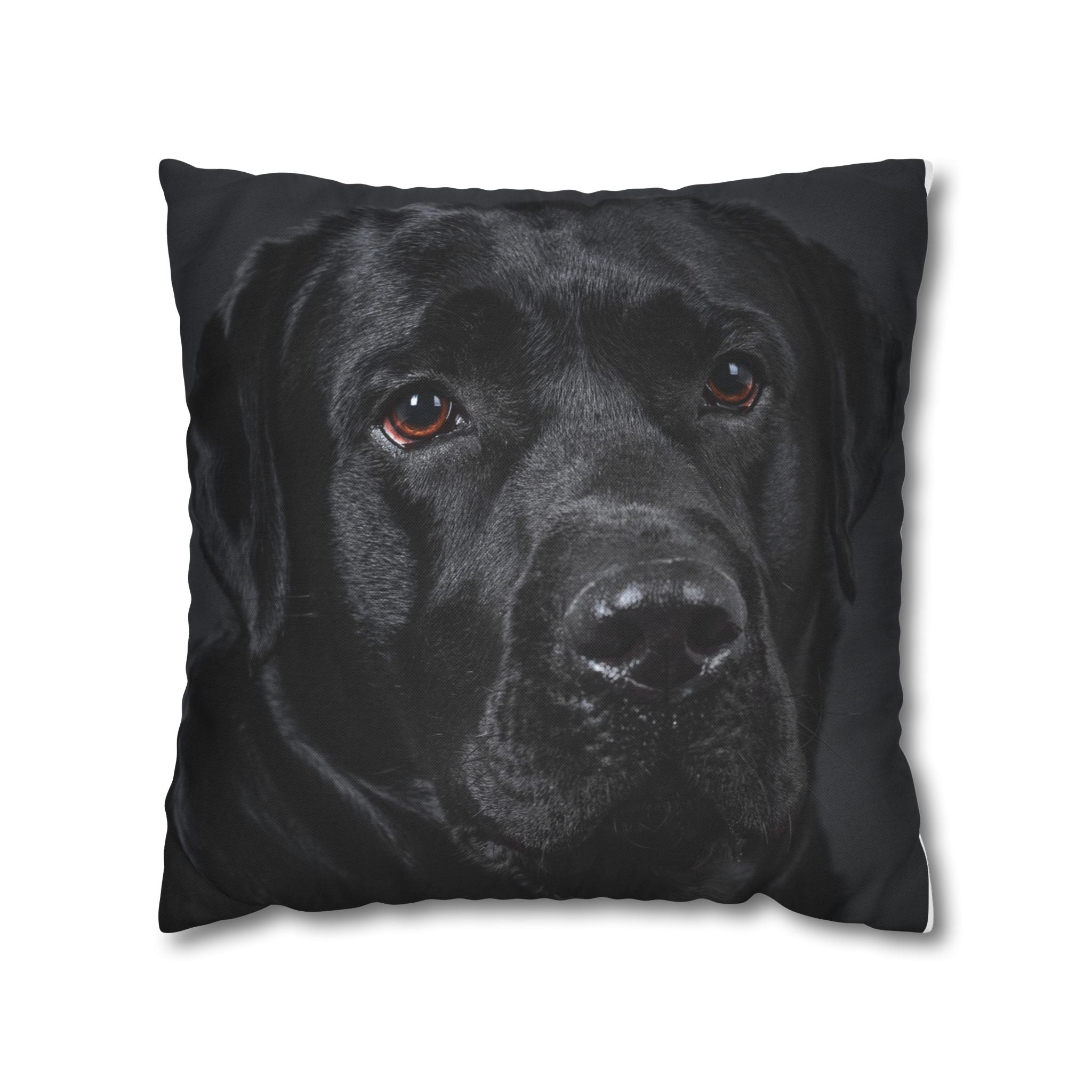Black Labrador Dog Photo Pillowcase – Square Decorative Throw Pillow Cover