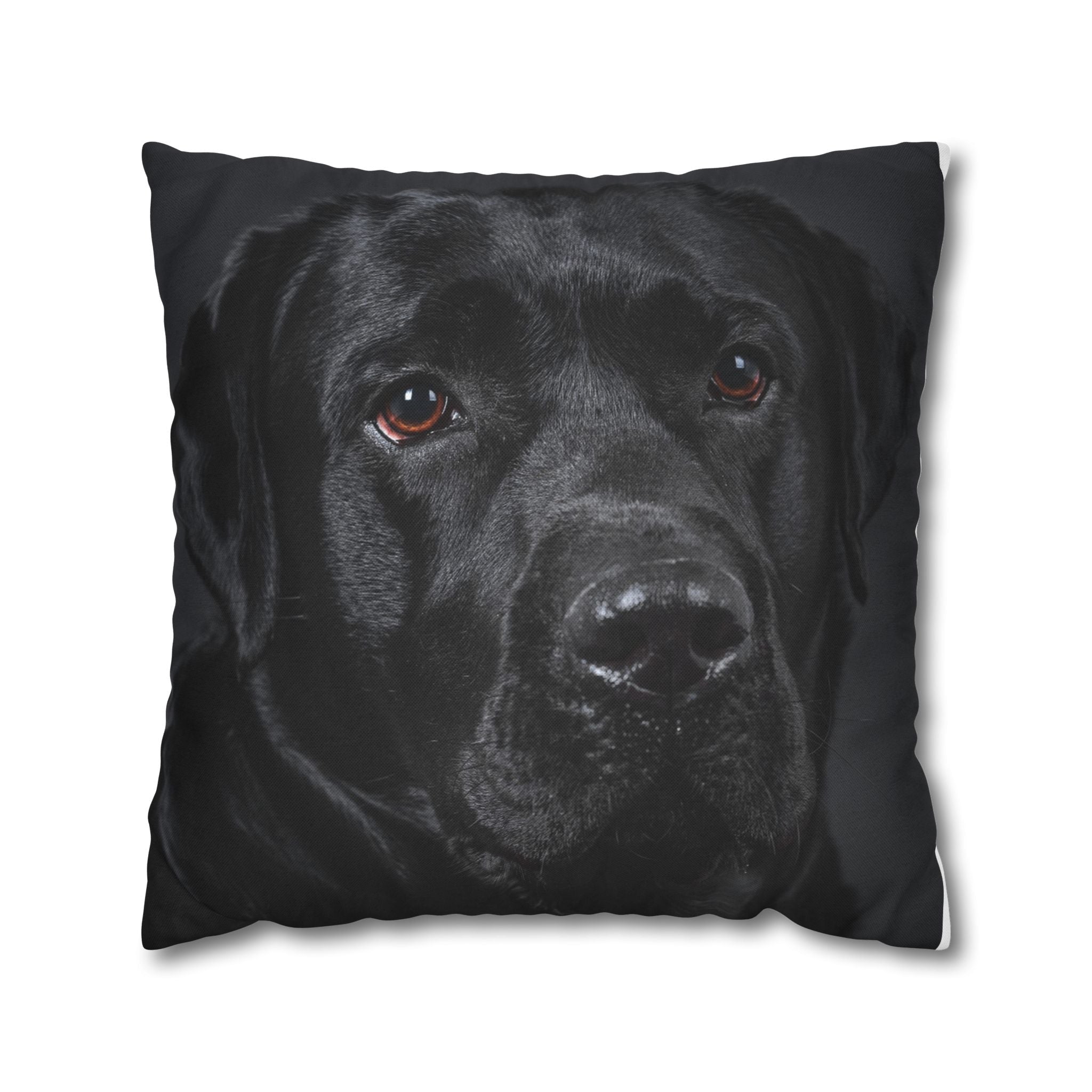 Black Labrador Dog Photo Pillowcase – Square Decorative Throw Pillow Cover