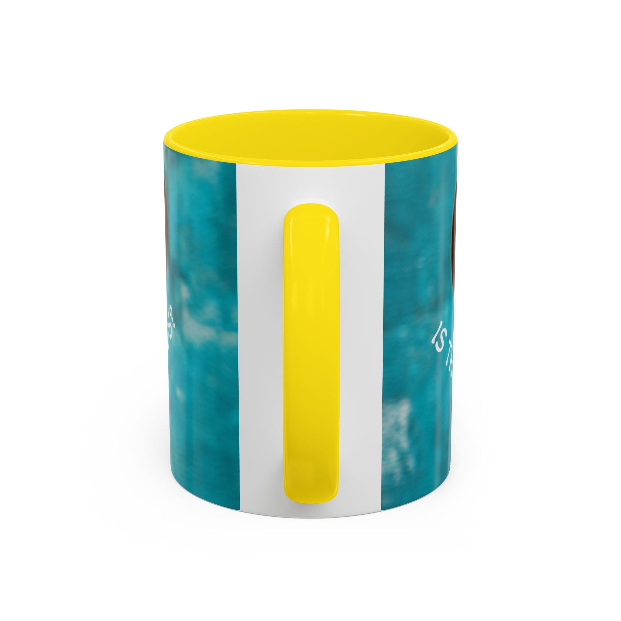 Happy Dachshund Coffee Mug – "Is the Drama in the Room with Us?" Accent Mug