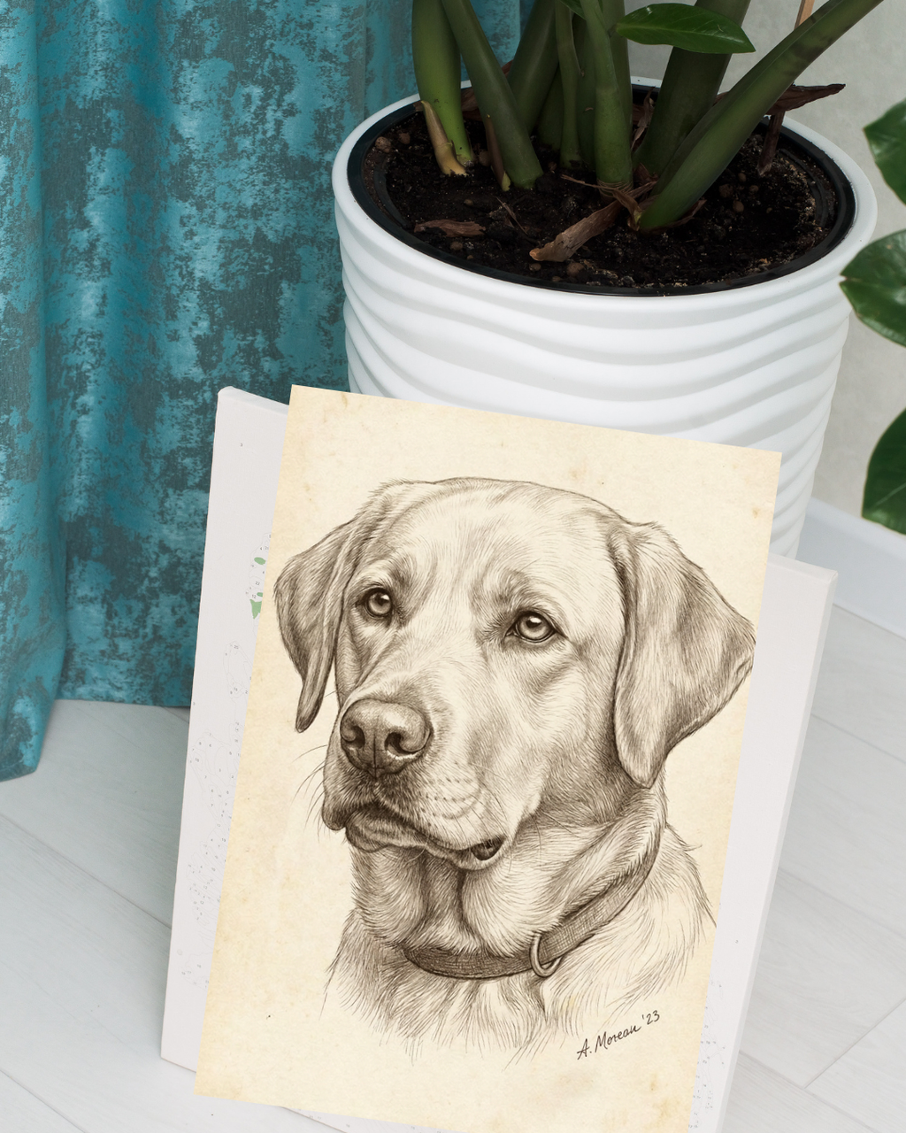 Labrador Pencil Portrait – Downloadable Wall Art