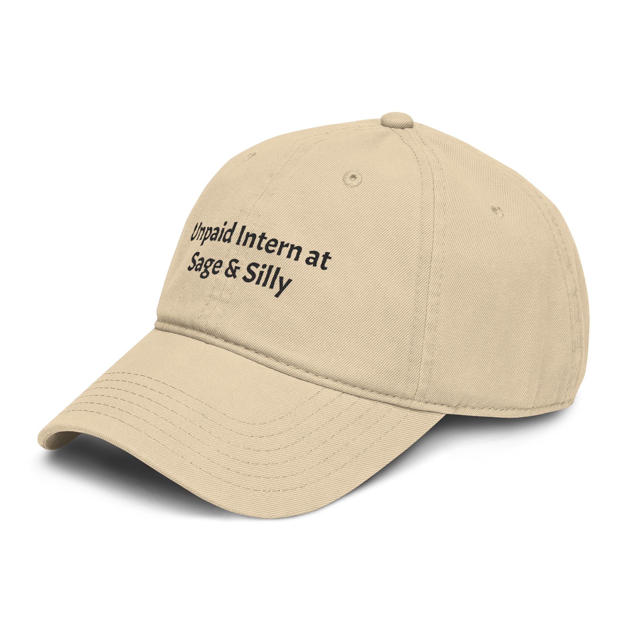 Unpaid Intern at Sage & Silly Funny Dog Lover Cap