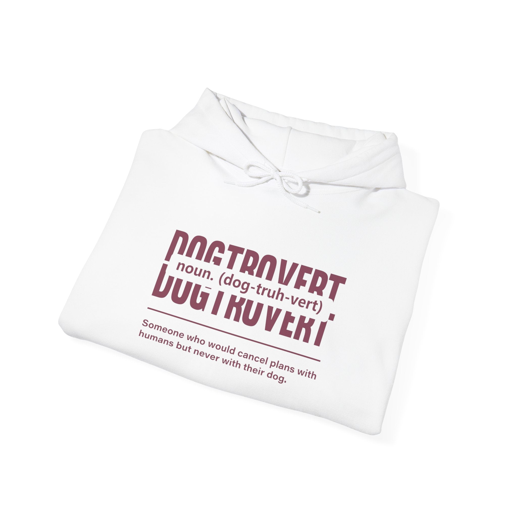 Dogtrovert Definition Hoodie – Funny Dog Lover Graphic Pullover