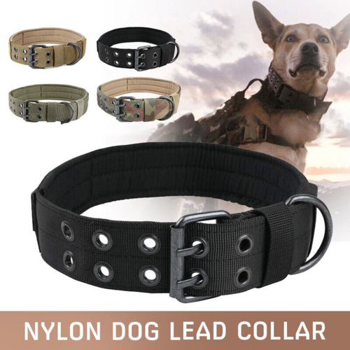 Tactical Heavy Duty Dog Collar — Military Grade Nylon
