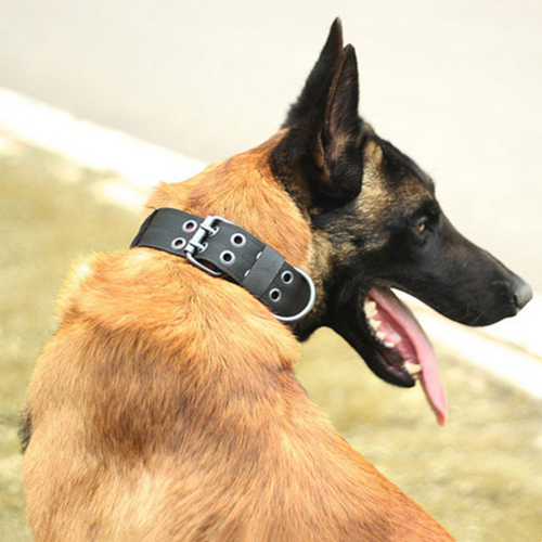 Tactical Heavy Duty Dog Collar — Military Grade Nylon