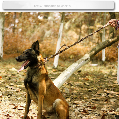 Tactical Heavy Duty Dog Collar — Military Grade Nylon