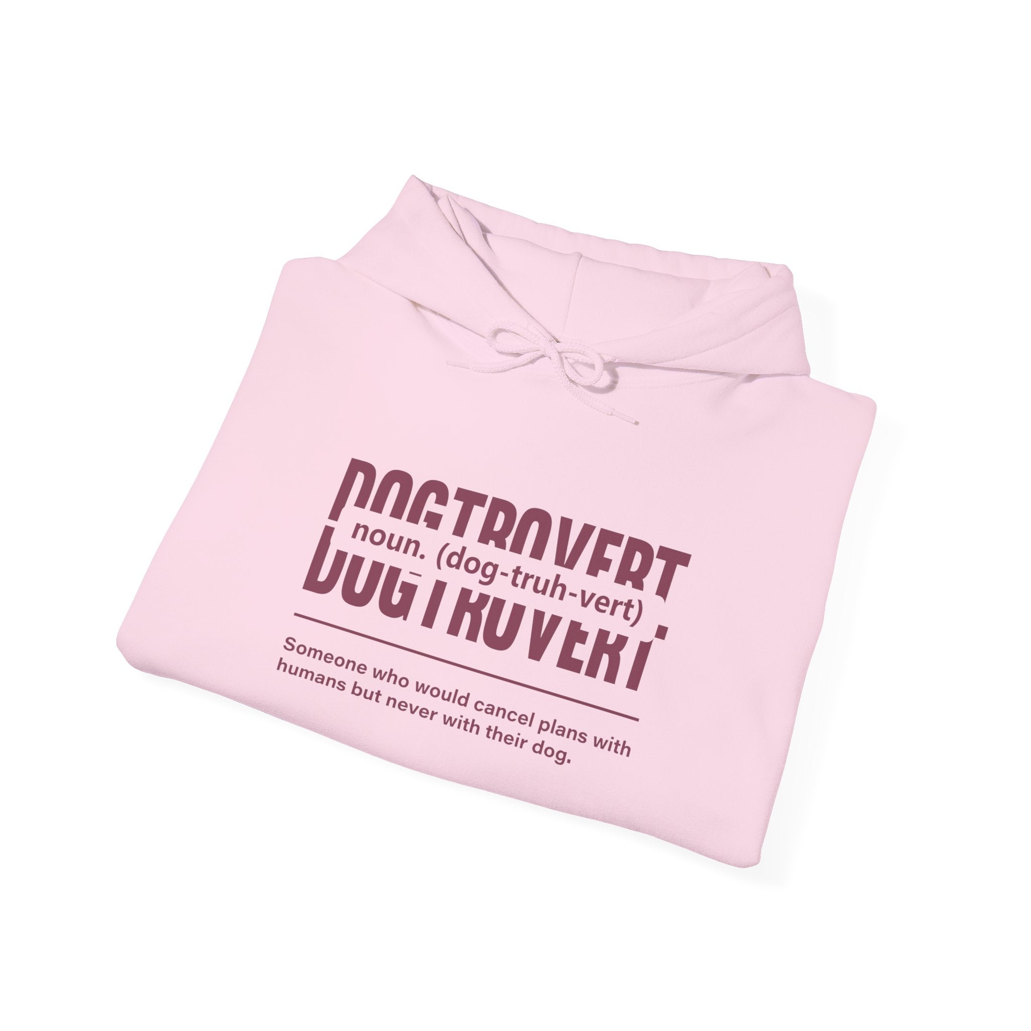 Dogtrovert Definition Hoodie – Funny Dog Lover Graphic Pullover