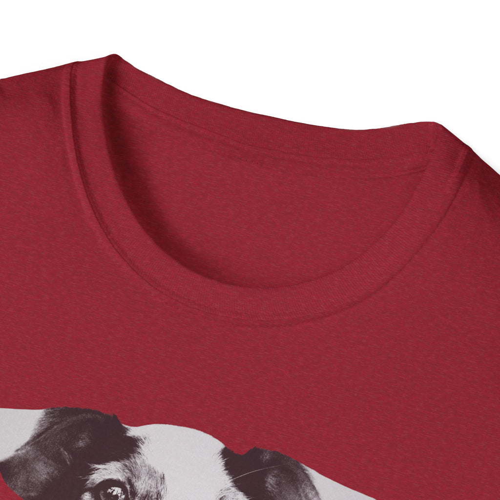 Jack Russell Terrier Graphic T-Shirt — "Yes, I'm Judging You."