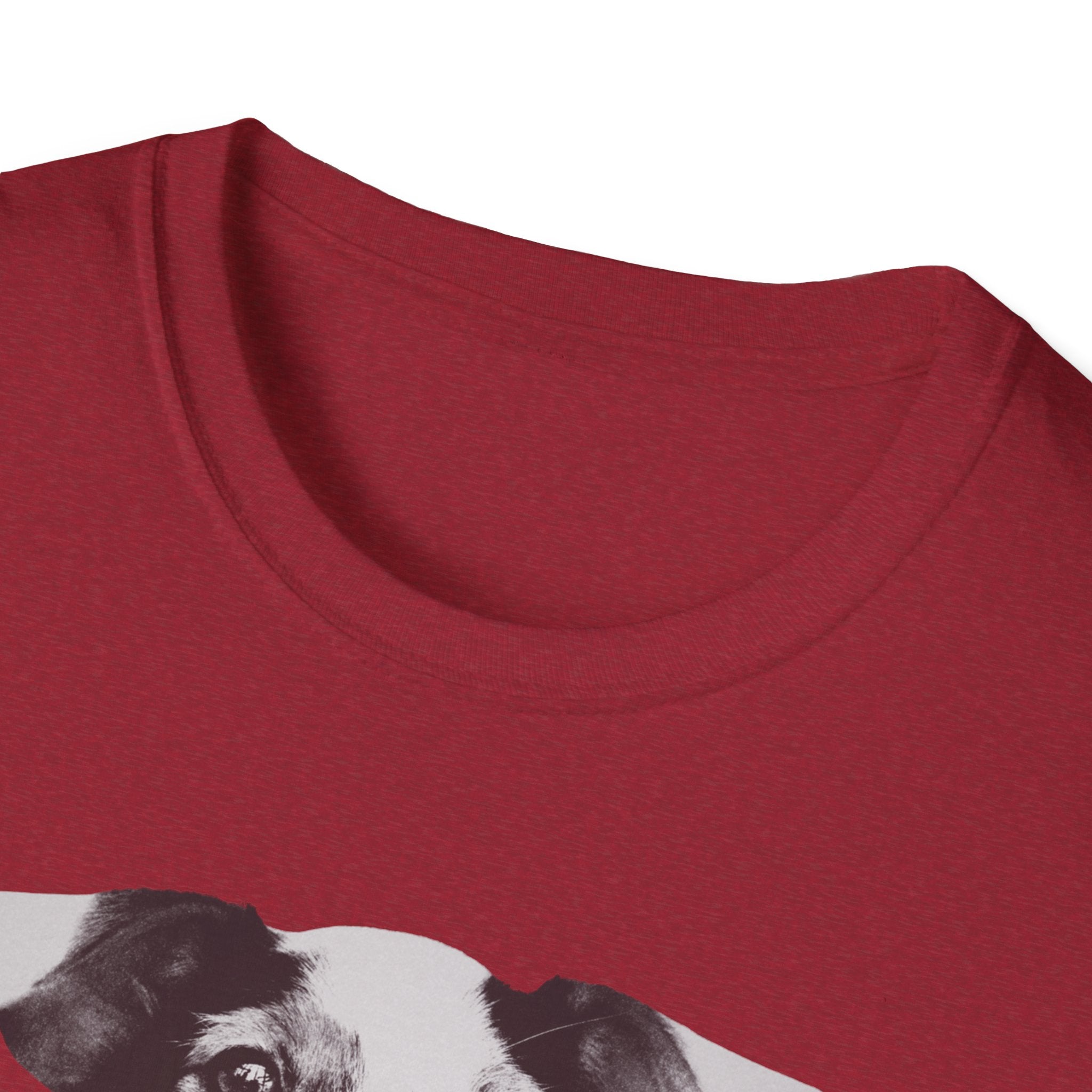 Jack Russell Terrier Graphic T-Shirt — "Yes, I'm Judging You."