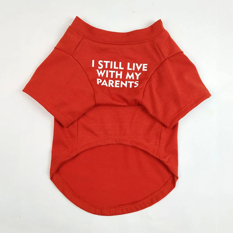 Summer Dog T-Shirt — Letter Print | Small & Medium Dogs