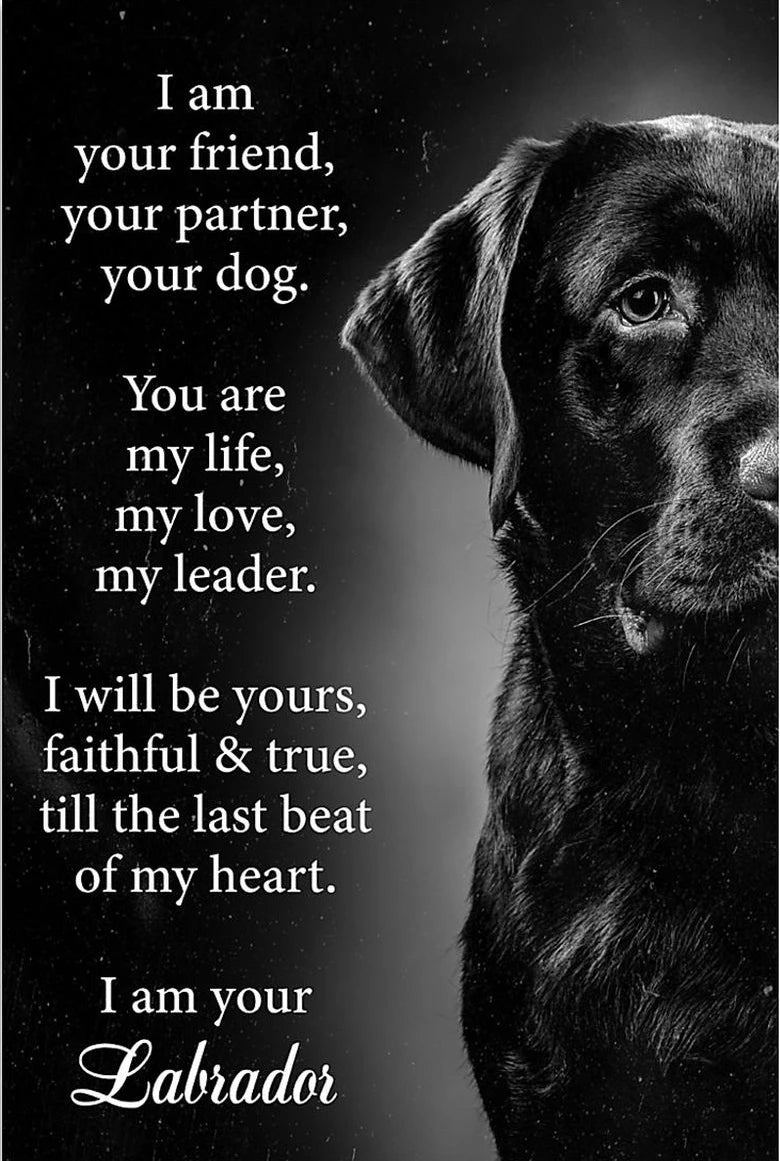 Dog Canvas Wall Art Poster – Animal Print for Living Room Home Decor