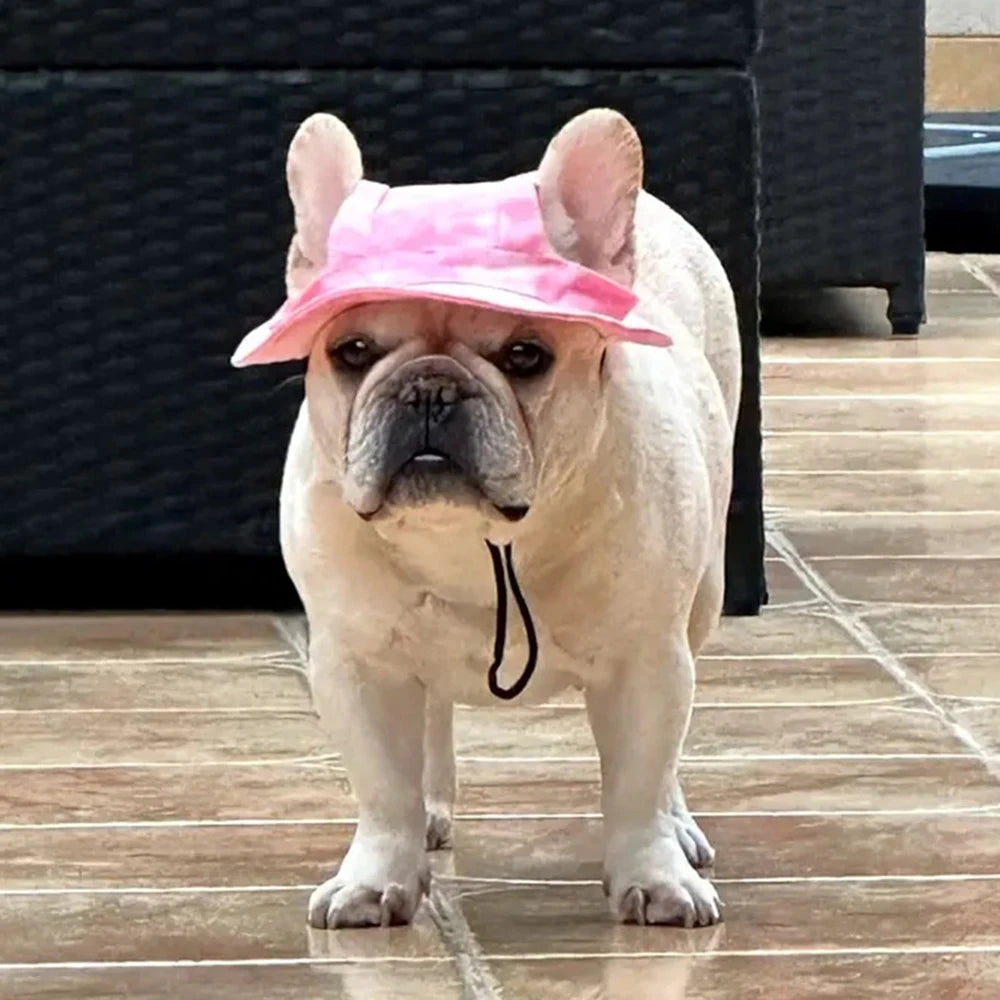French Bulldog Pet Hat with Ear Holes | Adjustable Cap for Small & Medium Dogs