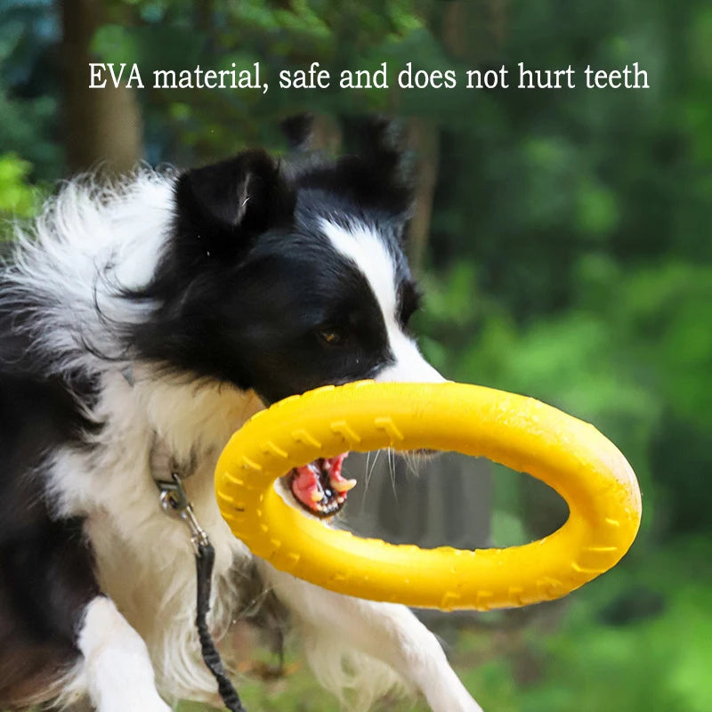 EVA Dog Toy Set – Durable Chew Toys, Ball, Tug Ring & Flying Disc for Dogs