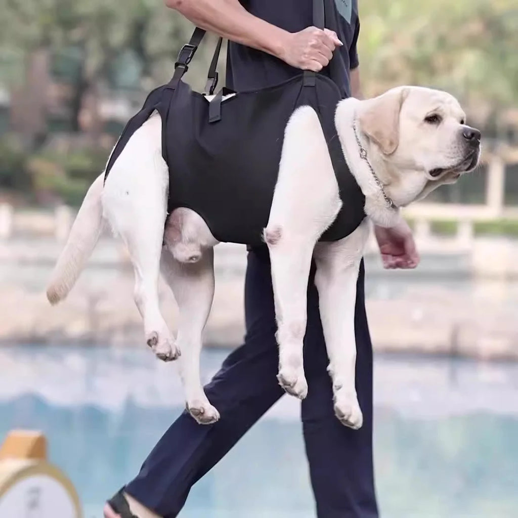 Dog Support Lift Harness – Mobility Aid for Elderly, Disabled & Post-Surgery Dogs