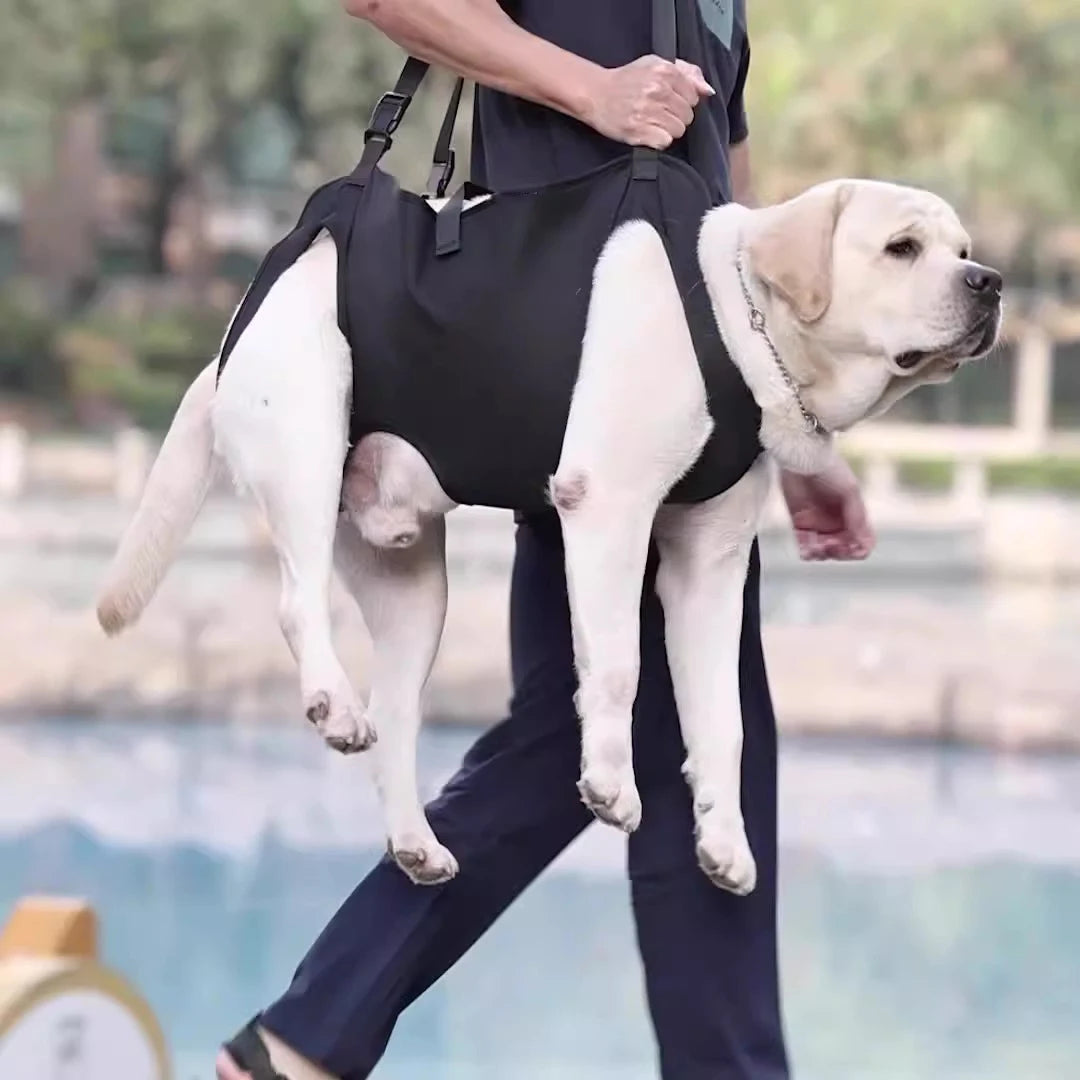Dog Support Lift Harness – Mobility Aid for Elderly, Disabled & Post-Surgery Dogs