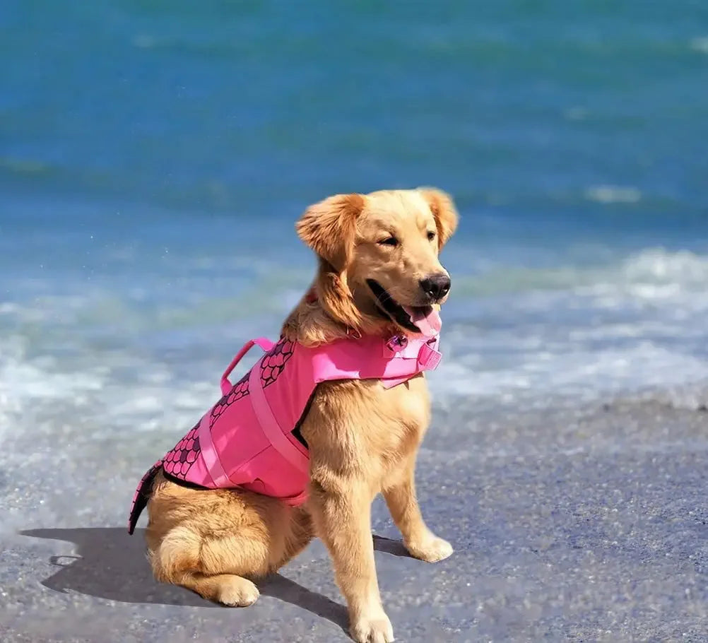 Shark Dog Life Jacket – Buoyancy Swim Vest with Rescue Handle for Dogs