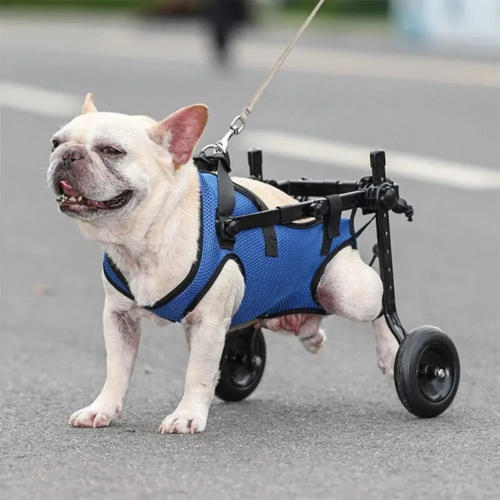 Adjustable Pet Wheelchair – Hind Leg Support Walk Booster for Disabled Dogs & Cats