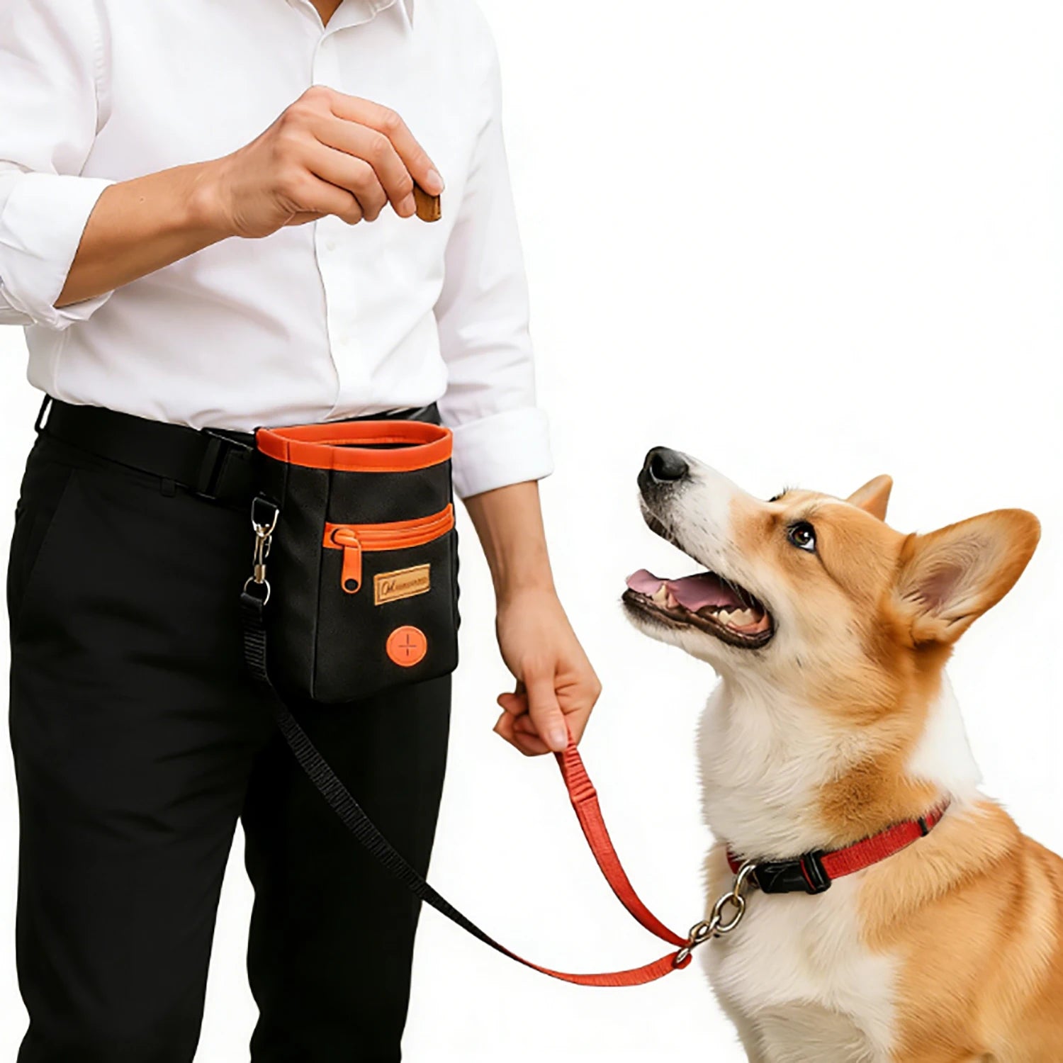 Portable Dog Treat Bag — Training Snack Pouch for Walks & Outdoor Use