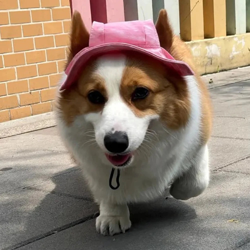 French Bulldog Pet Hat with Ear Holes | Adjustable Cap for Small & Medium Dogs
