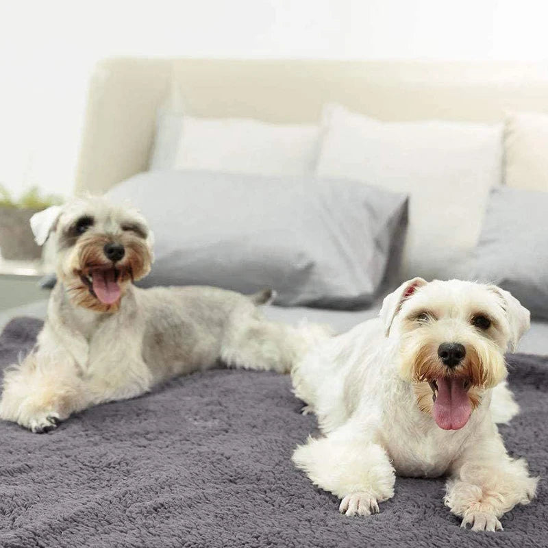 Velvet Warmth Pet Blanket — Soft Coral Fleece Mat for Dogs & Cats