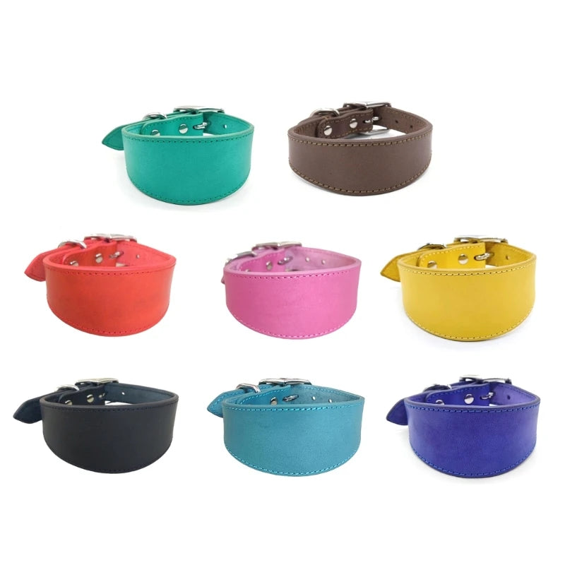 Wide Padded Leather Dog Collar | Comfortable Collar for Greyhounds, Lurchers & Sighthounds