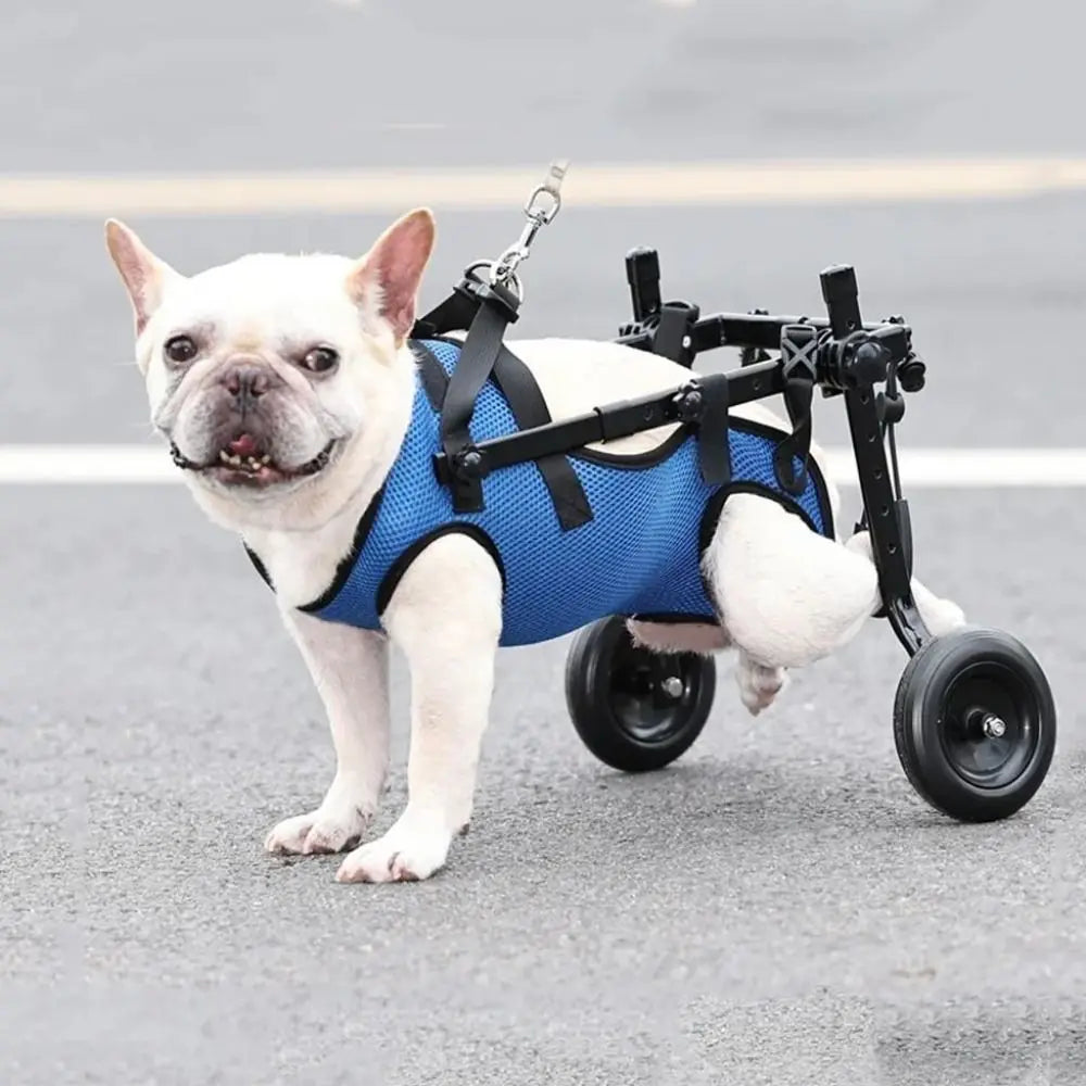 Adjustable Pet Wheelchair – Hind Leg Support Walk Booster for Disabled Dogs & Cats