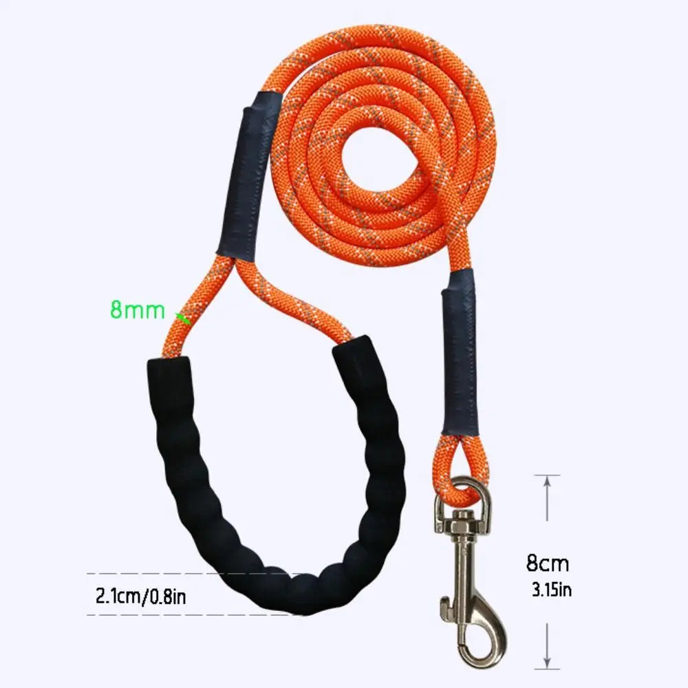 Reflective Dog Training Leash – Extended Long Lead for Walking, Training & Recall (2–20m)