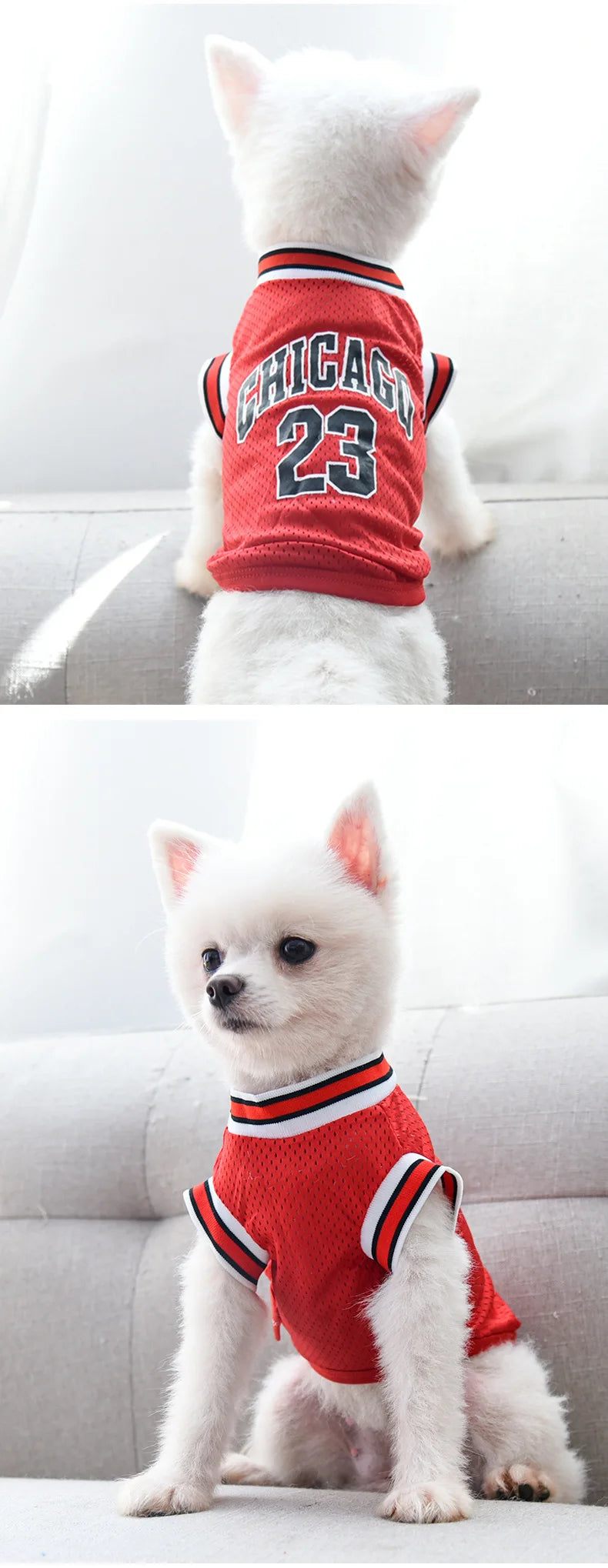 Mesh Breathable Sports Jersey for Dogs & Cats – Basketball Style Pet T-Shirt