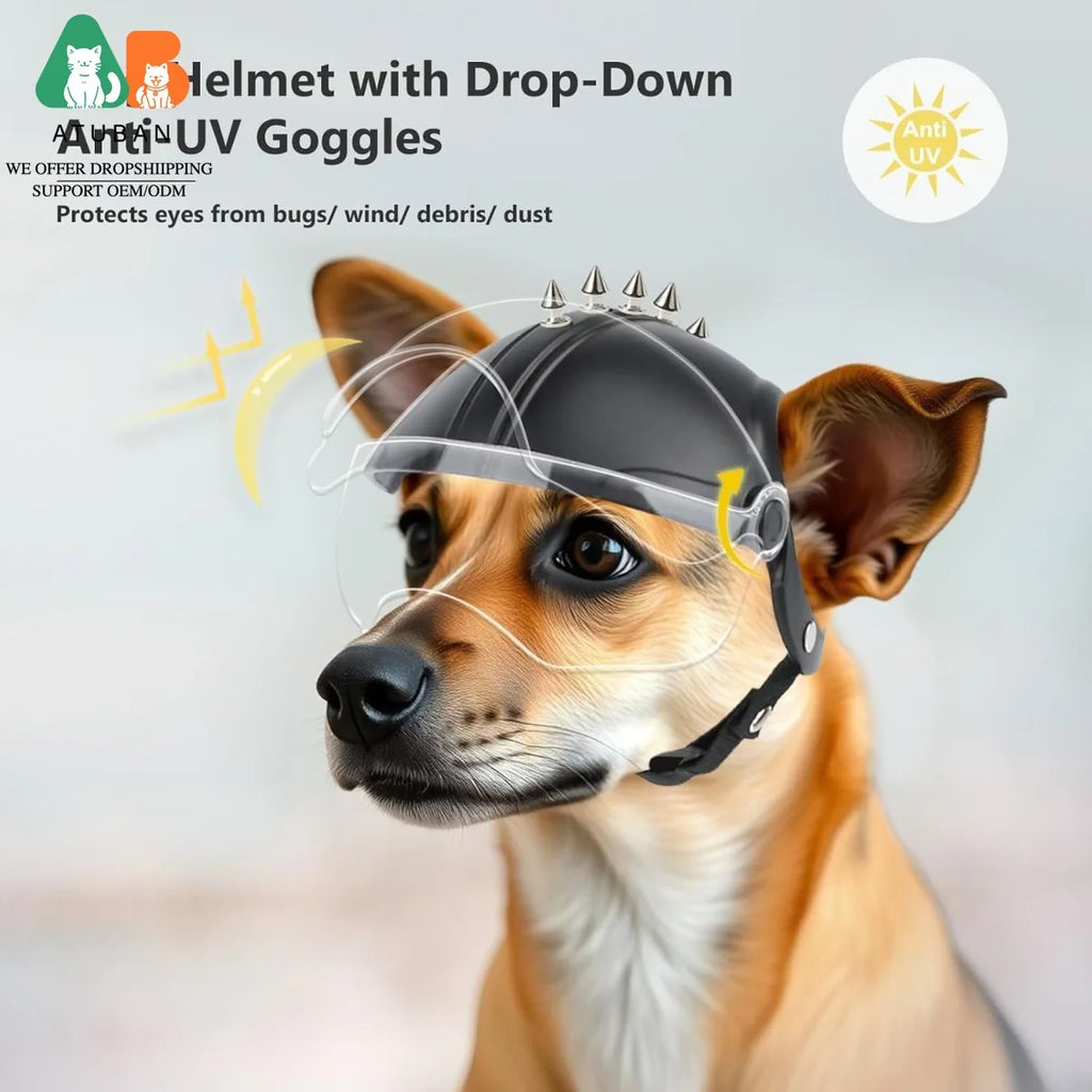 Dog Helmet with Built-In Goggles – UV & Wind Protection for Small Dogs on Bikes & Motorcycles