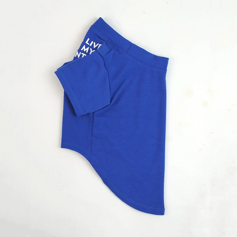 Summer Dog T-Shirt — Letter Print | Small & Medium Dogs