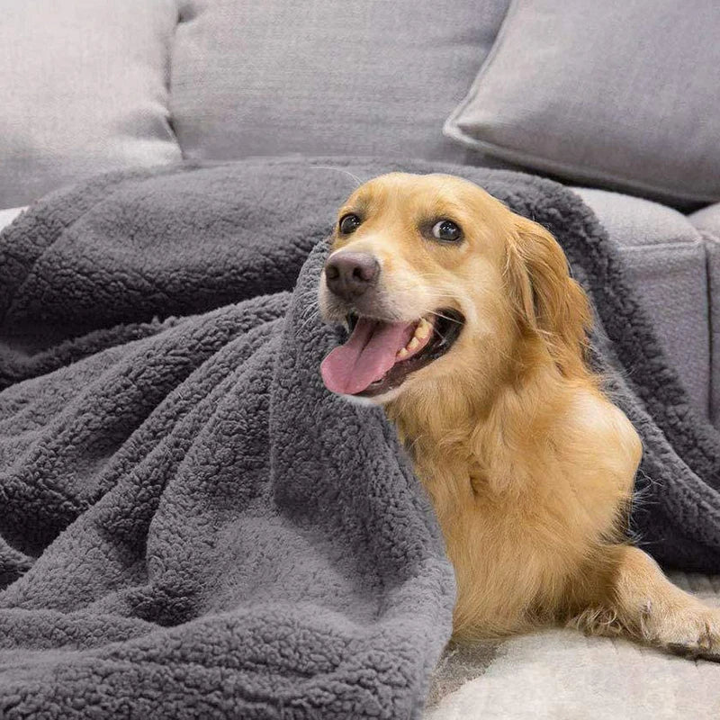 Velvet Warmth Pet Blanket — Soft Coral Fleece Mat for Dogs & Cats