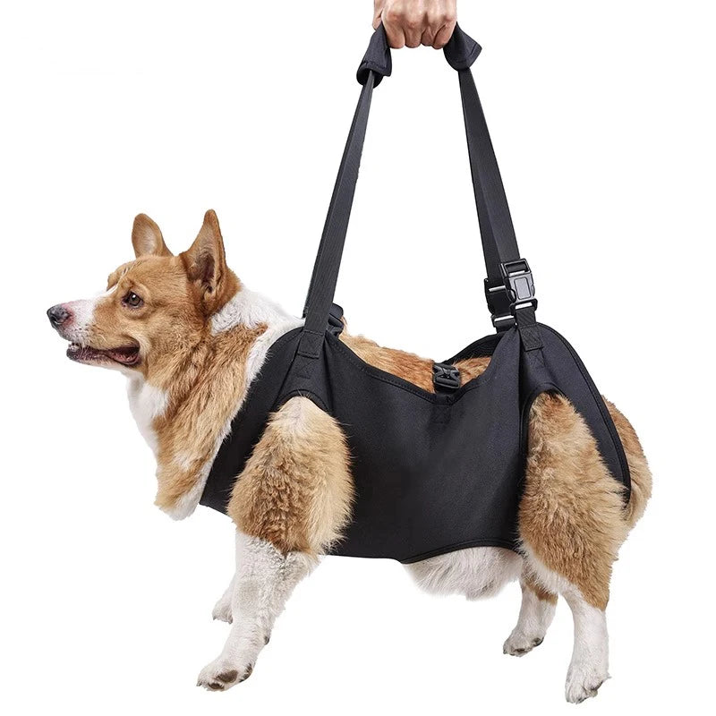 Dog Support Lift Harness – Mobility Aid for Elderly, Disabled & Post-Surgery Dogs