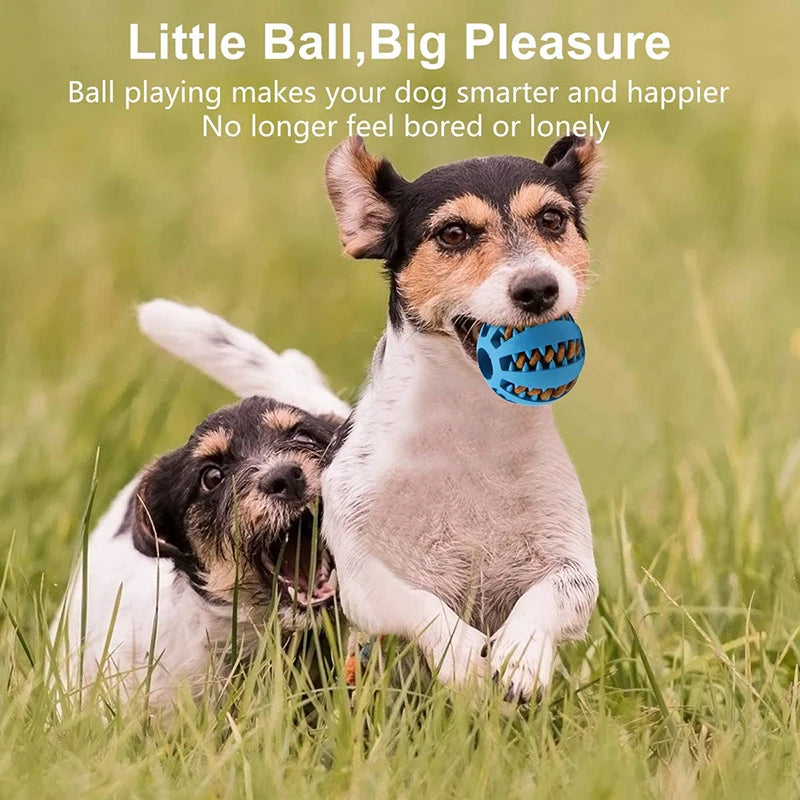 Rubber Treat Ball Dog Toy – Interactive Chew & Dental Cleaning Toy for Dogs