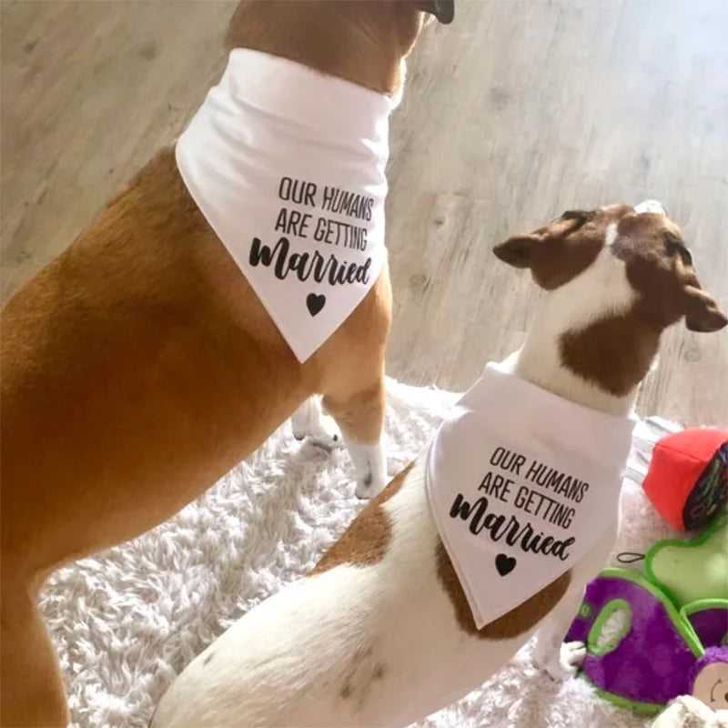 white My Humans/Our Humans Are Getting Married Dog Bandana Wedding Engagement bridal shower dog decoration Photo props gift