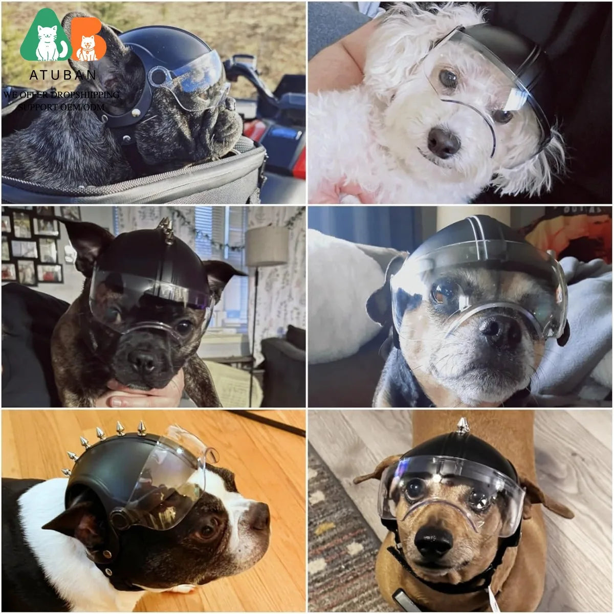 Dog Helmet with Built-In Goggles – UV & Wind Protection for Small Dogs on Bikes & Motorcycles
