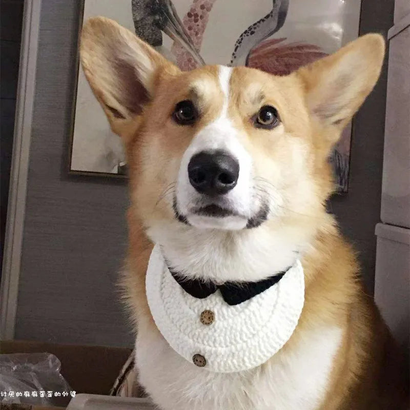 Hand-Knitted Dog Bib Scarf — Cute Cotton Collar for Small Dogs & Cats