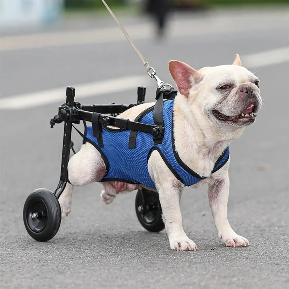 Adjustable Pet Wheelchair – Hind Leg Support Walk Booster for Disabled Dogs & Cats