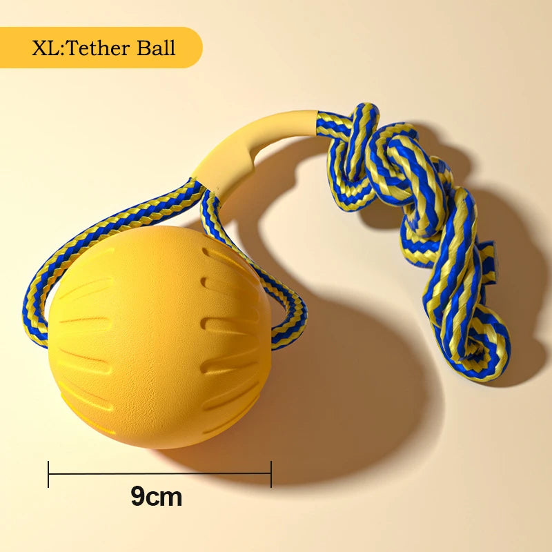EVA Dog Toy Set – Durable Chew Toys, Ball, Tug Ring & Flying Disc for Dogs