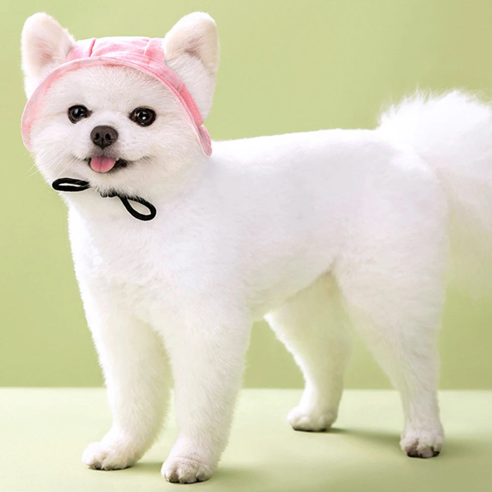 French Bulldog Pet Hat with Ear Holes | Adjustable Cap for Small & Medium Dogs