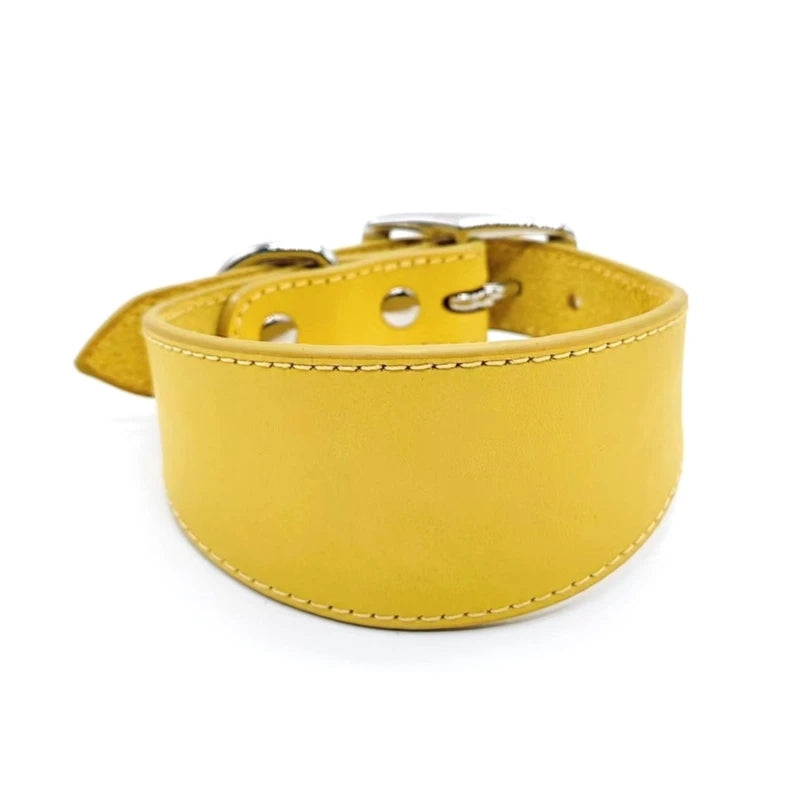 Wide Padded Leather Dog Collar | Comfortable Collar for Greyhounds, Lurchers & Sighthounds