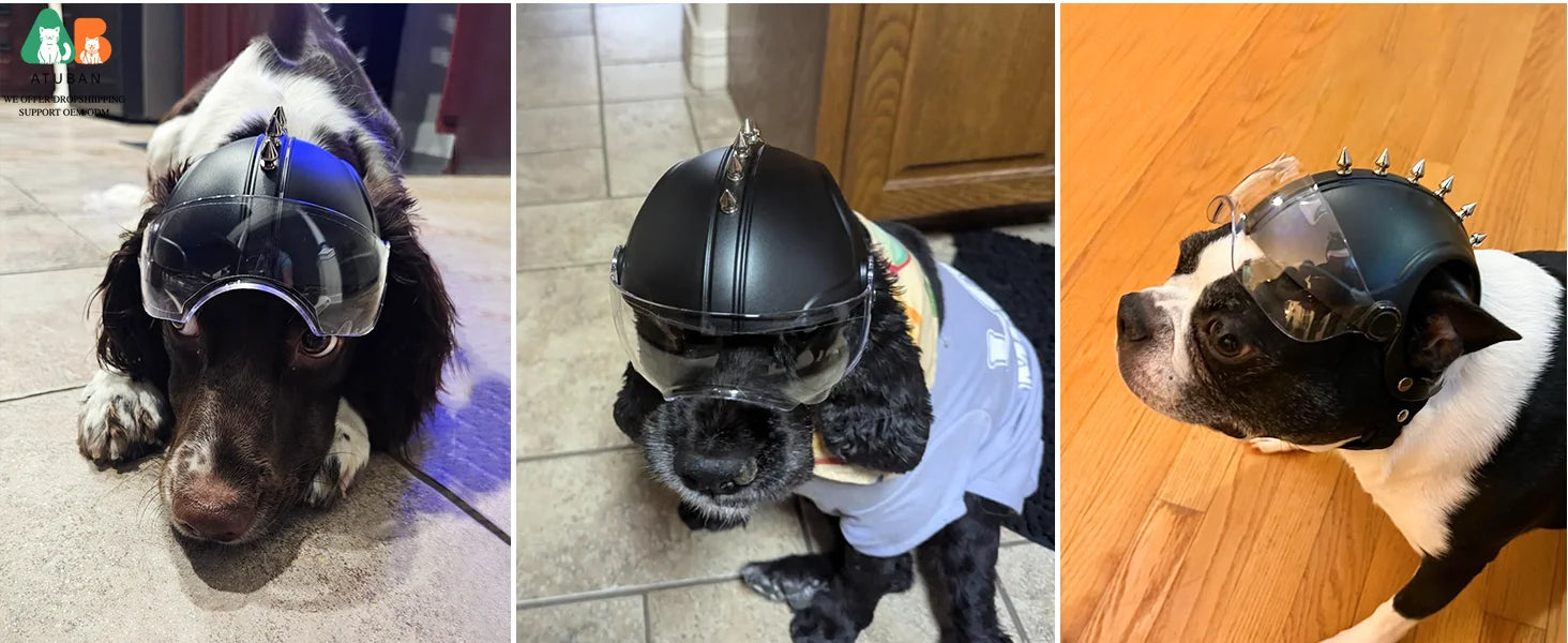 Dog Helmet with Built-In Goggles – UV & Wind Protection for Small Dogs on Bikes & Motorcycles
