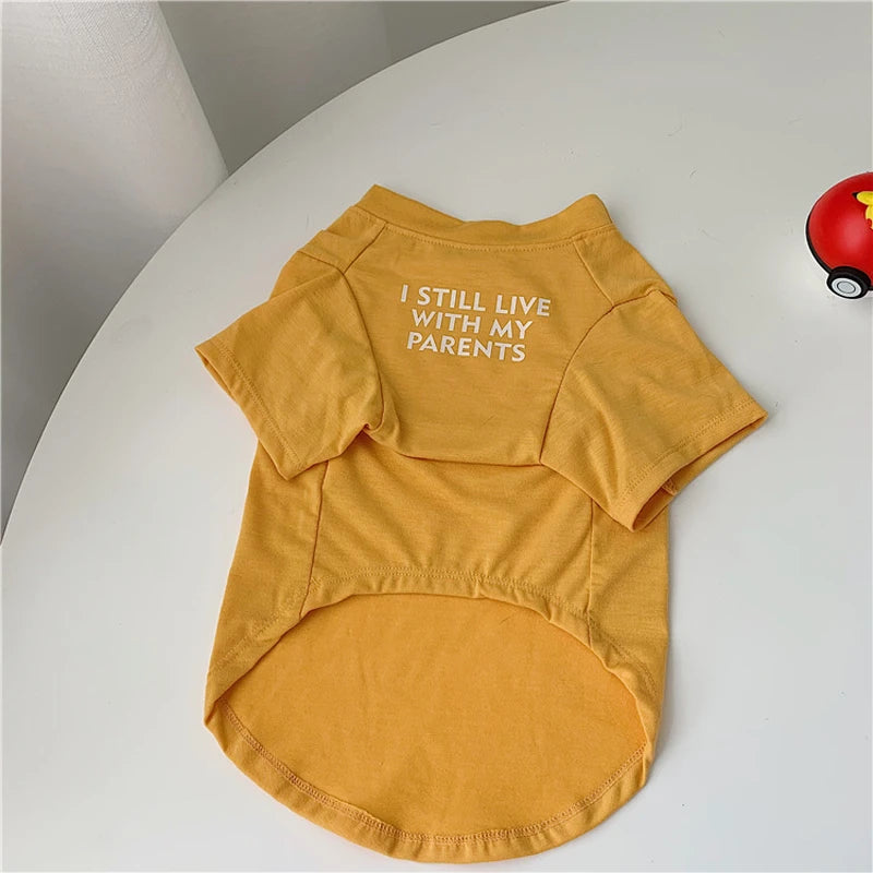 Summer Dog T-Shirt — Letter Print | Small & Medium Dogs
