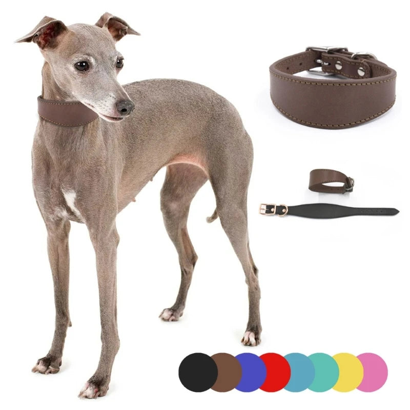 Wide Padded Leather Dog Collar | Comfortable Collar for Greyhounds, Lurchers & Sighthounds
