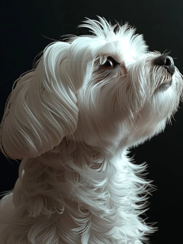 Maltese Dog 5D Diamond Painting Kit – DIY Diamond Embroidery for Dog Lovers