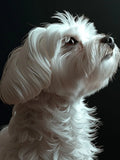 Maltese Dog 5D Diamond Painting Kit – DIY Diamond Embroidery for Dog Lovers