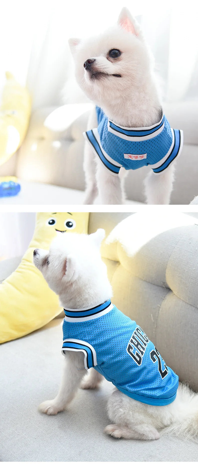 Mesh Breathable Sports Jersey for Dogs & Cats – Basketball Style Pet T-Shirt